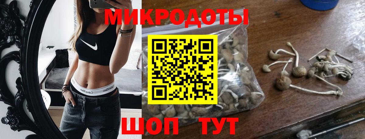 Псилоцибиновые грибы Psilocybe  сколько стоит  Красный Сулин  Вход с VPN 
